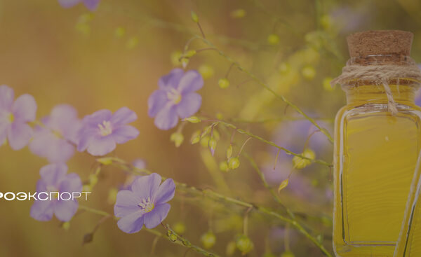 В 2025 году Россия удвоила экспорт льняного масла